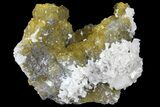 Yellow Cubic Fluorite, Calcite & Dolomite Association - Spain #98710-1